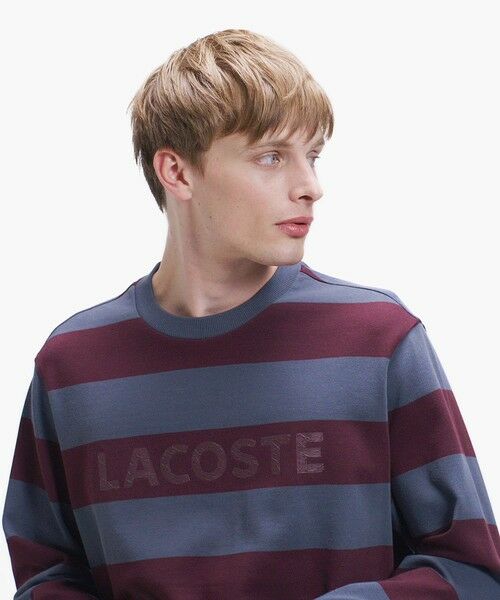 LACOSTE / ラコステ Tシャツ | テクスチャーロゴ ボーダーロングスリーブTシャツ | 詳細4