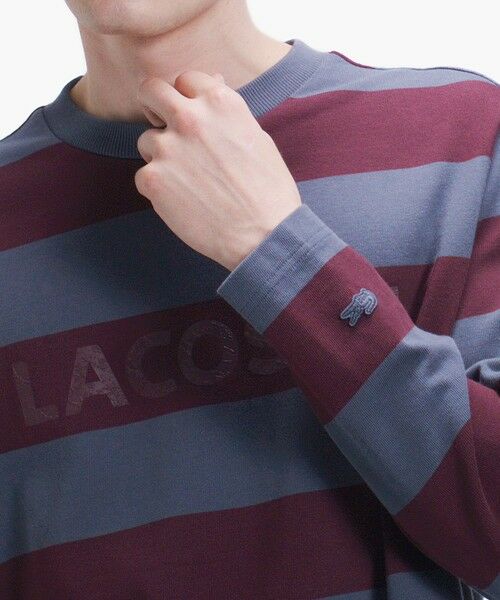 LACOSTE / ラコステ Tシャツ | テクスチャーロゴ ボーダーロングスリーブTシャツ | 詳細7