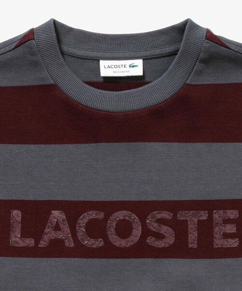 LACOSTE / ラコステ Tシャツ | テクスチャーロゴ ボーダーロングスリーブTシャツ | 詳細10