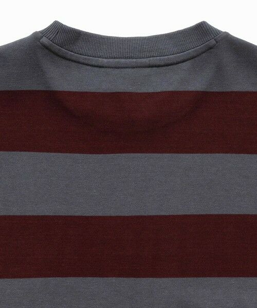LACOSTE / ラコステ Tシャツ | テクスチャーロゴ ボーダーロングスリーブTシャツ | 詳細11