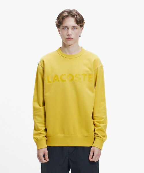 LACOSTE / ラコステ スウェット | エンザイムウォッシュ テクスチャーロゴ ヴィンテージクルーネックスウェット | 詳細14
