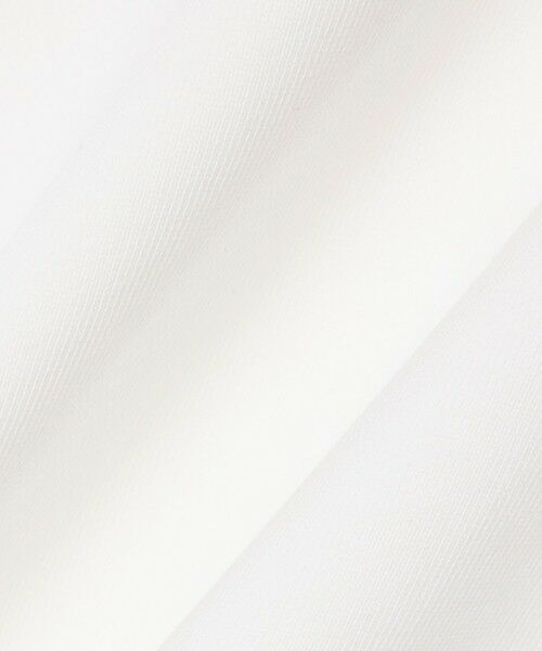 LACOSTE / ラコステ スウェット | 【EC限定】スリーブテーピングクルーネックスウェット | 詳細2