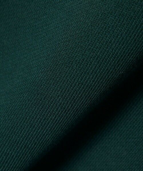 LACOSTE / ラコステ スウェット | ブランドネームワニロゴ クルーネックスウェット | 詳細1