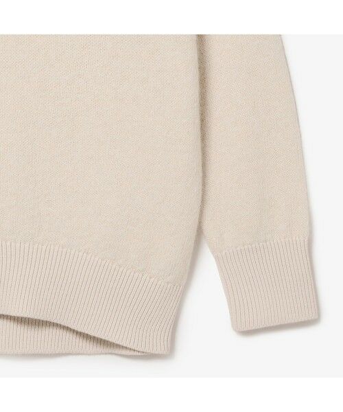 LACOSTE / ラコステ ニット・セーター | ラメミックススキッパーニットプルオーバー | 詳細19