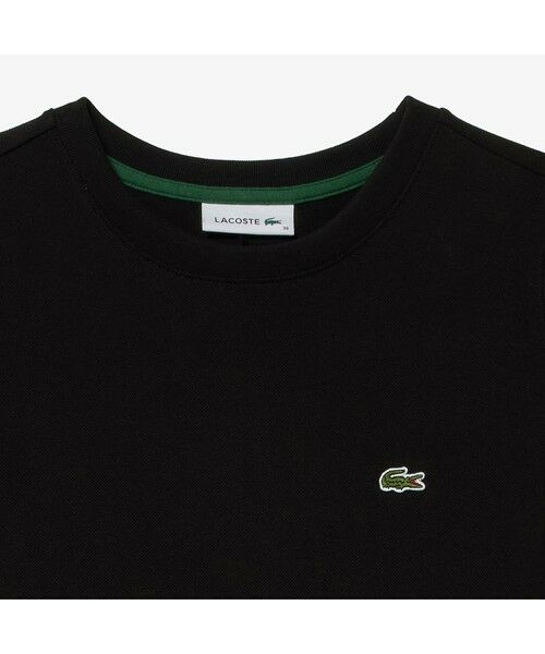LACOSTE / ラコステ ミニ丈・ひざ丈ワンピース | ローウエストノースリーブ鹿の子ドレス | 詳細16