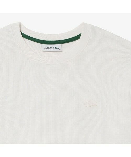LACOSTE / ラコステ Tシャツ | ラウンドヘム ワッフルロングスリーブTシャツ | 詳細17