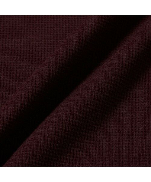 LACOSTE / ラコステ Tシャツ | ラウンドヘム ワッフルロングスリーブTシャツ | 詳細30