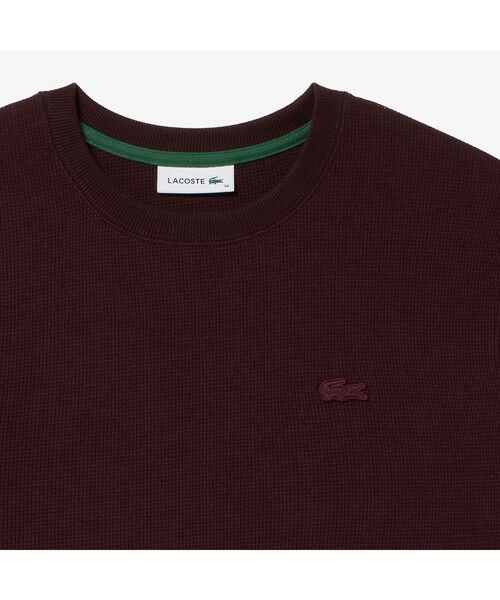 LACOSTE / ラコステ Tシャツ | ラウンドヘム ワッフルロングスリーブTシャツ | 詳細27