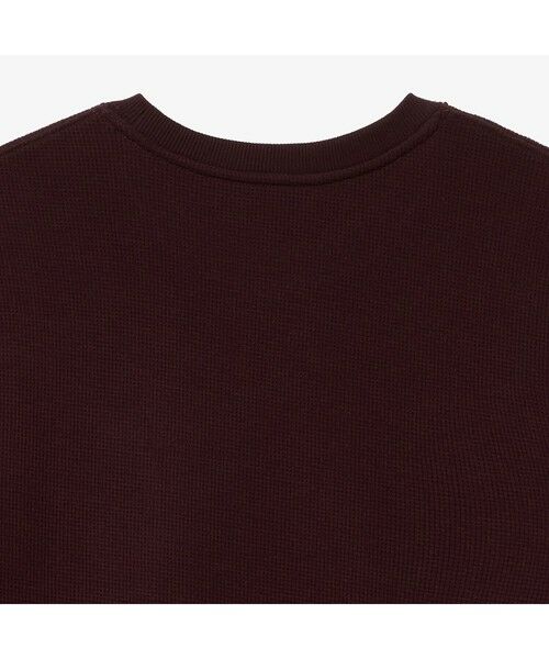 LACOSTE / ラコステ Tシャツ | ラウンドヘム ワッフルロングスリーブTシャツ | 詳細28