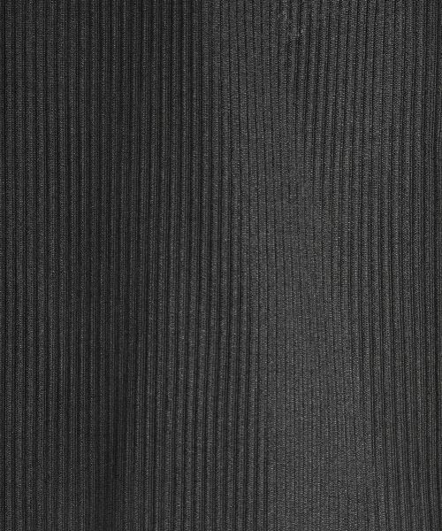 LANVIN COLLECTION / ランバン コレクション カットソー | シアーナイロンカットソー | 詳細1