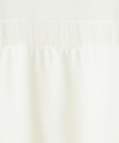 LANVIN COLLECTION / ランバン コレクション カットソー | シアーナイロンカットソー | 詳細1