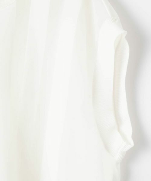 LANVIN COLLECTION / ランバン コレクション カットソー | グログランストライプカットソー | 詳細2