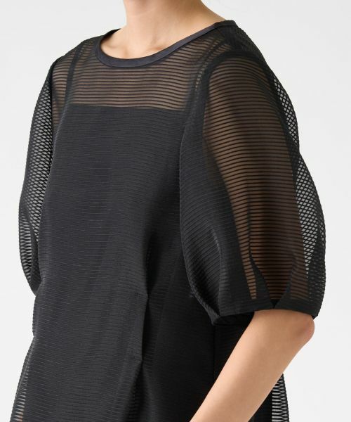 LANVIN COLLECTION / ランバン コレクション ドレス | シアーボーダーワンピース | 詳細6