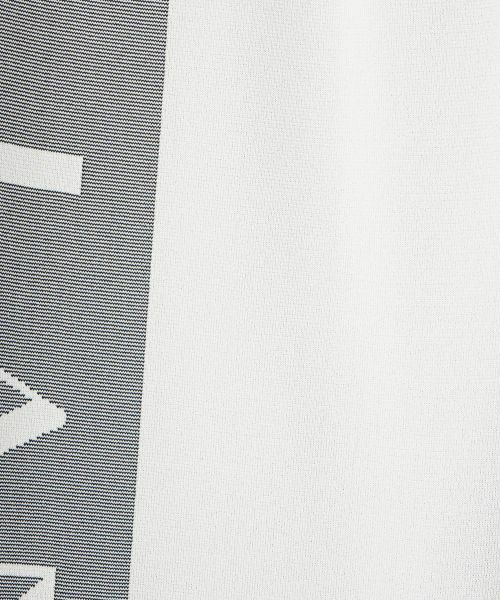 LANVIN COLLECTION / ランバン コレクション その他パンツ | ミラノリブロゴニットパンツ | 詳細18