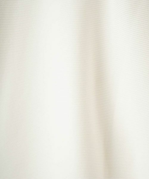 LANVIN COLLECTION / ランバン コレクション ロング・マキシ丈スカート | ニットスカート | 詳細3