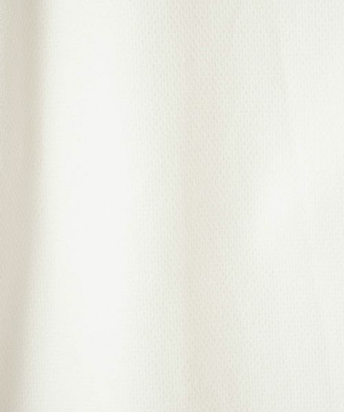 LANVIN COLLECTION / ランバン コレクション ロング・マキシ丈スカート | ドビーストレッチタイトスカート | 詳細8