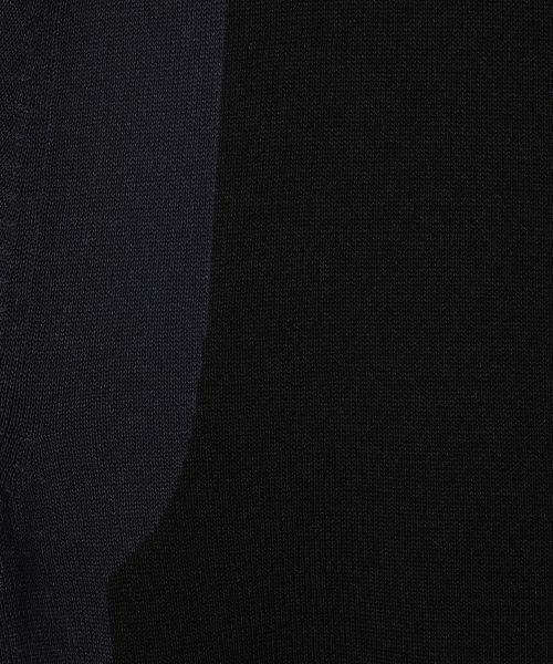 LANVIN COLLECTION / ランバン コレクション ニット・セーター | インターシャニットトップス | 詳細3
