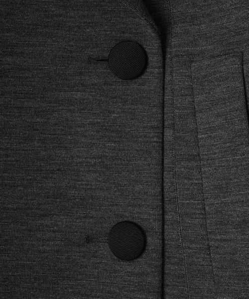 LANVIN COLLECTION / ランバン コレクション テーラードジャケット | ポンチ素材ジャケット | 詳細13