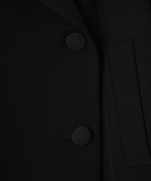 LANVIN COLLECTION / ランバン コレクション テーラードジャケット | ポンチ素材ジャケット | 詳細14