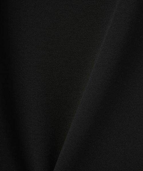 LANVIN COLLECTION / ランバン コレクション ロング・マキシ丈スカート | ポンチ素材スカート | 詳細10
