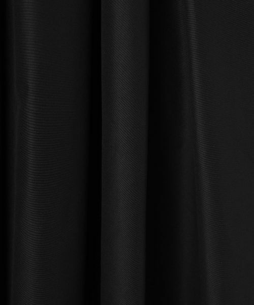 LANVIN COLLECTION / ランバン コレクション ロング・マキシ丈スカート | エクセルテックスカート | 詳細1