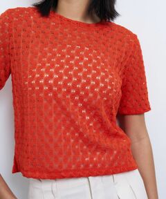 LANVIN en Bleu / ランバン オン ブルー Tシャツ | 【手洗い可】シアーレースカットソー