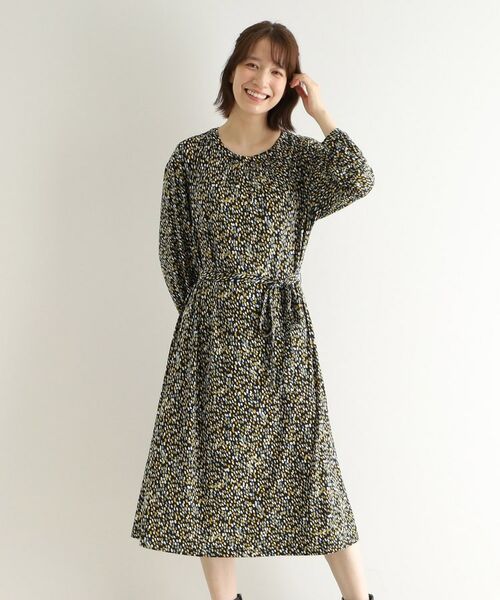 LAURA ASHLEY / ローラ アシュレイ ミニ丈・ひざ丈ワンピース | 【WEB限定／洗える／ジャージ素材】ペブルス柄ワンピース | 詳細1