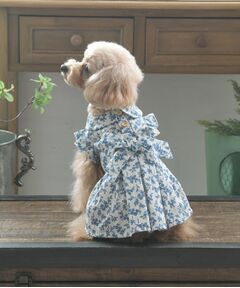 ランナム柄 ドッグウエア