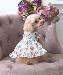 LAURA ASHLEY / ローラ アシュレイ ペットグッズ | ローザリンド柄 ドッグウエア