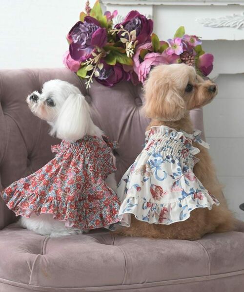 LAURA ASHLEY / ローラ アシュレイ ペットグッズ | ローザリンド柄 ドッグウエア | 詳細9