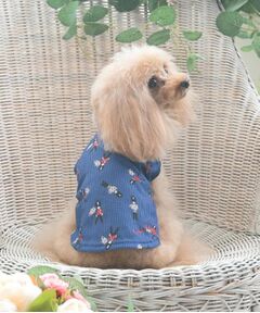 LAURA ASHLEY / ローラ アシュレイ ペットグッズ | ヴィンテージソルジャー柄 ドッグウエア