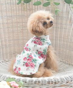 LAURA ASHLEY / ローラ アシュレイ ペットグッズ | バンチェッド ロージズ柄 ドッグウエア