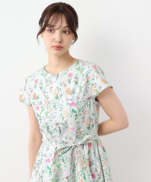 LAURA ASHLEY / ローラ アシュレイ ロング・マキシ丈ワンピース | 【WEB限定カラーあり/コットン100%】サマーパレス柄 タイプライターワンピース | 詳細1