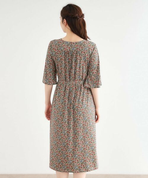 LAURA ASHLEY / ローラ アシュレイ ミニ丈・ひざ丈ワンピース | 【大好評!WEB限定/5分袖/洗える/ジャージ素材/M-LL3サイズ】アイレソン柄ワンピース | 詳細11