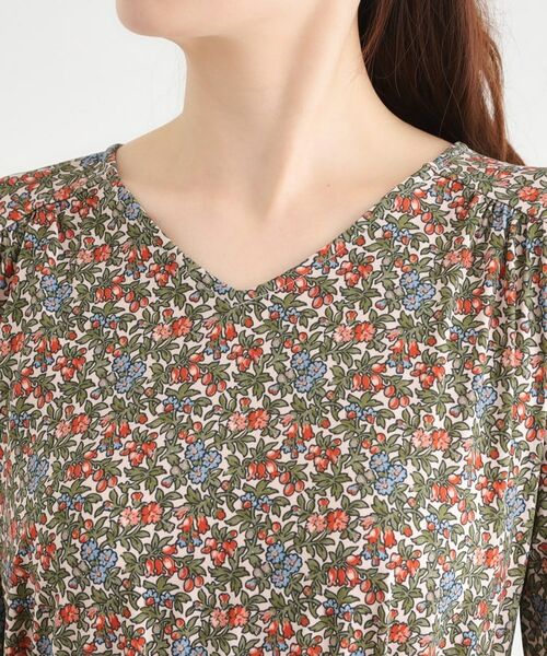 LAURA ASHLEY / ローラ アシュレイ ミニ丈・ひざ丈ワンピース | 【大好評!WEB限定/5分袖/洗える/ジャージ素材/M-LL3サイズ】アイレソン柄ワンピース | 詳細12