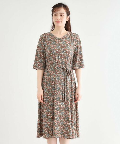 LAURA ASHLEY / ローラ アシュレイ ミニ丈・ひざ丈ワンピース | 【大好評!WEB限定/5分袖/洗える/ジャージ素材/M-LL3サイズ】アイレソン柄ワンピース | 詳細9