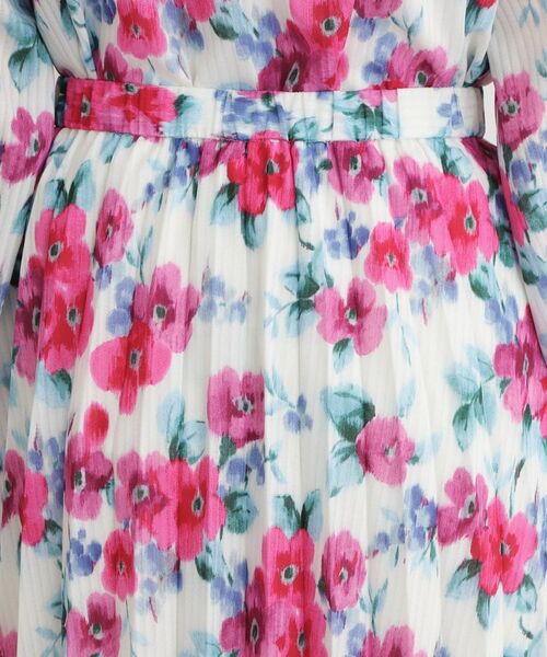 LAURA ASHLEY / ローラ アシュレイ ロング・マキシ丈スカート | 【手洗い可／同柄アイテムあり】フリーサム ヘイズ柄 プリーツスカート | 詳細13