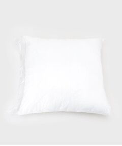 LAURA ASHLEY / ローラ アシュレイ インテリア・インテリア雑貨 | 【防ダニ・抗菌防臭／45×45cm】ヌードクッション