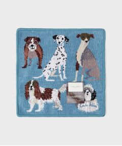 LAURA ASHLEY / ローラ アシュレイ ハンカチ | 【ギフトにおすすめ！シェニール織】 シェニール パーク ドッグス ミニタオル