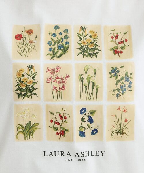 LAURA ASHLEY / ローラ アシュレイ カットソー | 【接触冷感／UVカット／吸水速乾性／抗菌防臭】パーショア ポストカーズ柄Tシャツ | 詳細4