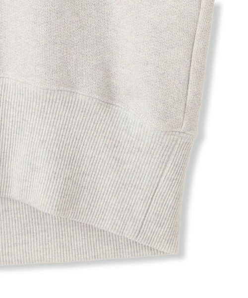 LAUTREAMONT / ロートレアモン カットソー | ラメ混裏パイルプルオーバー≪洗濯機で洗える≫ | 詳細9