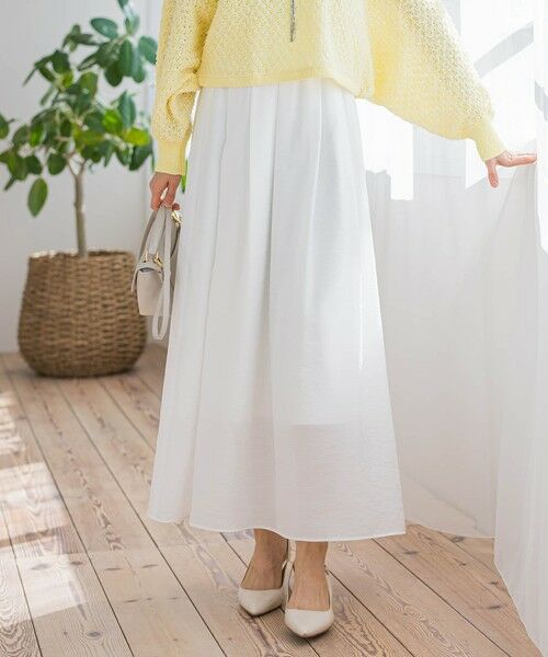 LAUTREAMONT / ロートレアモン ミニ・ひざ丈スカート | シアーフレアースカート≪洗濯機で洗える≫ | 詳細1