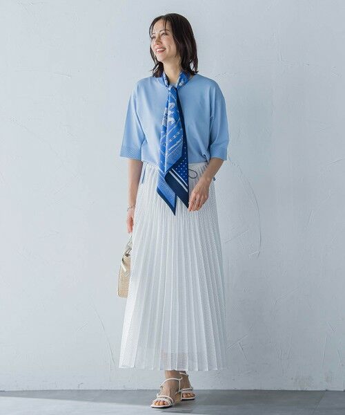 LAUTREAMONT / ロートレアモン ミニ・ひざ丈スカート | メッシュレースプリーツスカート≪洗濯機で洗える≫ | 詳細1