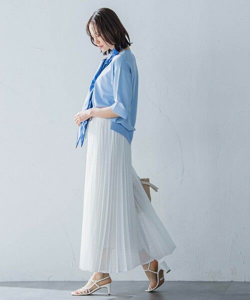 LAUTREAMONT / ロートレアモン ミニ・ひざ丈スカート | メッシュレースプリーツスカート≪洗濯機で洗える≫ | 詳細2