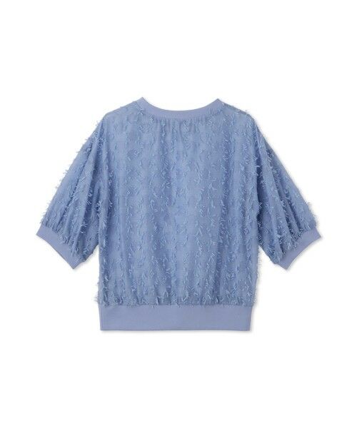 LAUTREAMONT / ロートレアモン シャツ・ブラウス | 【WEB限定】リボンカットジャガードシアーブラウス | 詳細11