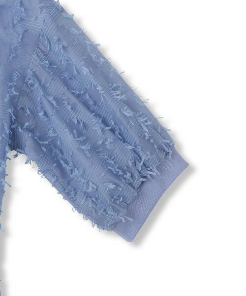 LAUTREAMONT / ロートレアモン シャツ・ブラウス | 【WEB限定】リボンカットジャガードシアーブラウス | 詳細14