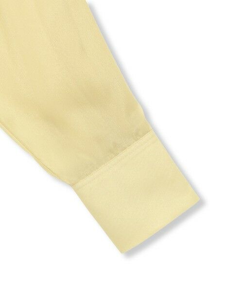 LAUTREAMONT / ロートレアモン シャツ・ブラウス | シアーブライト フロントタックブラウス≪手洗い可能≫ | 詳細17