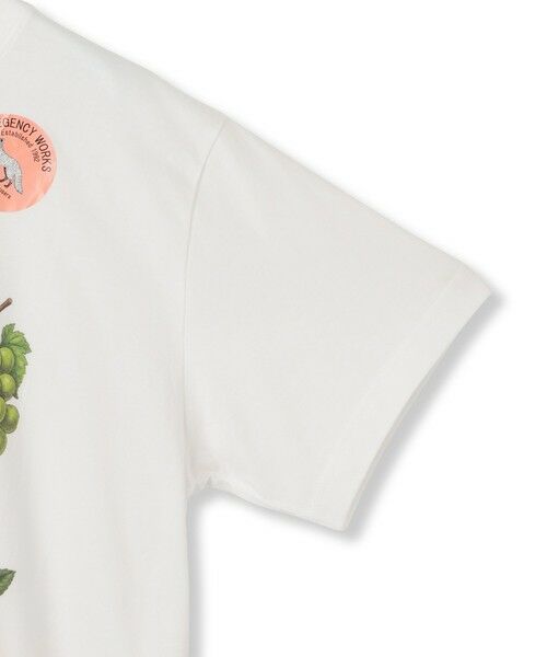 LAUTREAMONT / ロートレアモン カットソー | 【WEB限定】【RegencyWorks】フルーツTシャツ | 詳細19