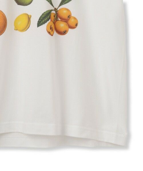 LAUTREAMONT / ロートレアモン カットソー | 【WEB限定】【RegencyWorks】フルーツTシャツ | 詳細20