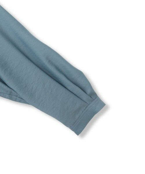 LAUTREAMONT / ロートレアモン シャツ・ブラウス | シアーバンブータンブラーブラウス | 詳細15